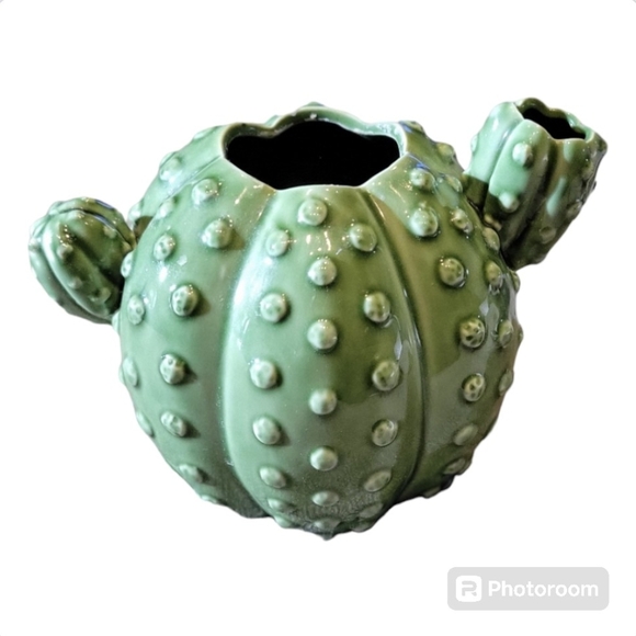 Cactus Planter Pot - Picture 3 of 6